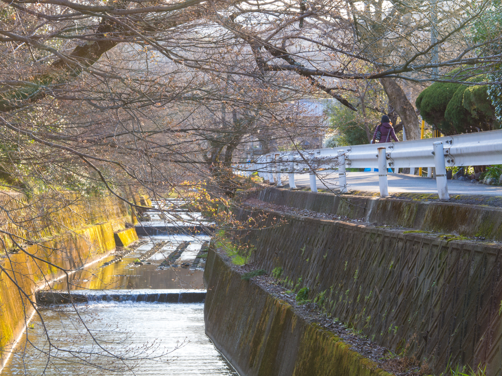 松室散歩 #15