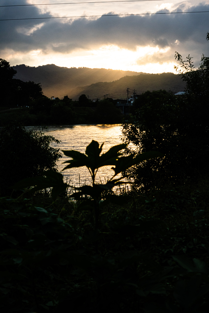 夕映