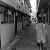 北風と太陽 #7
