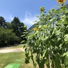 金沢21世紀美術館