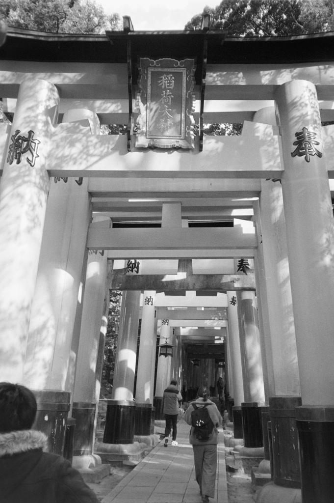 got lost in Inariyama #3