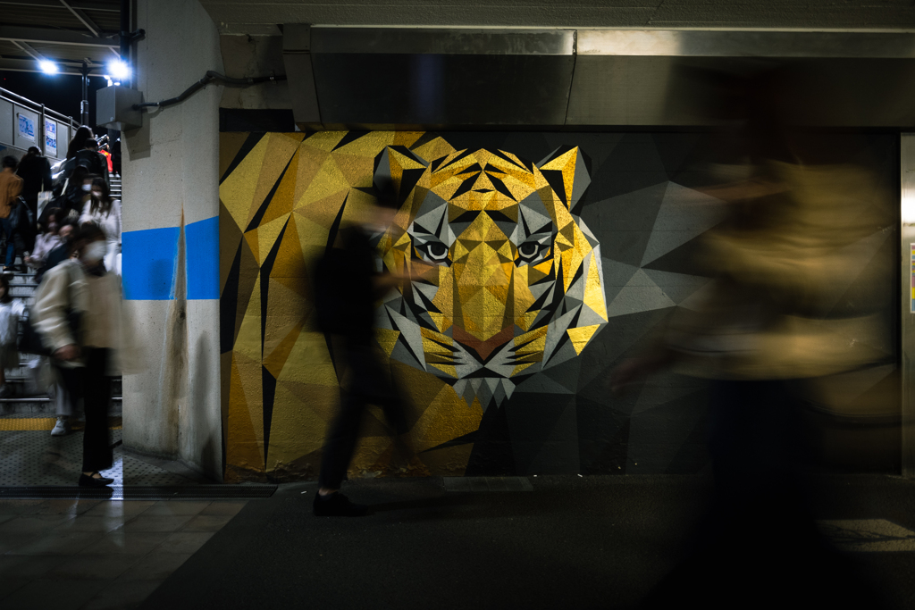 Eye of the Tiger