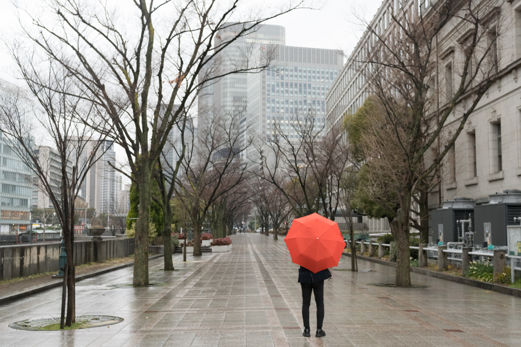 雨水 #3