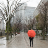 雨水 #3