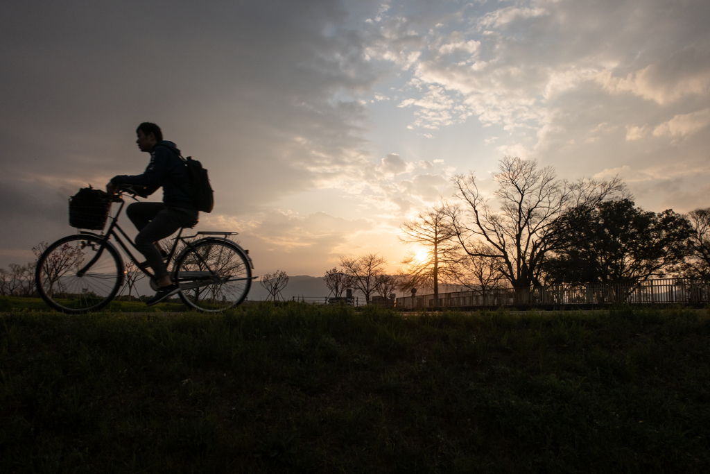 夕焼け自転車