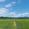加悦の風景 #1