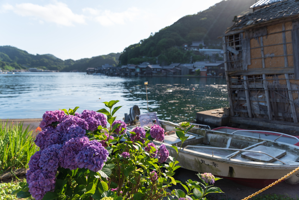 伊根浦の朝 #4