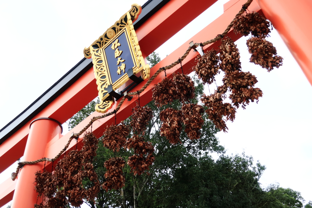 松尾大社にて #1