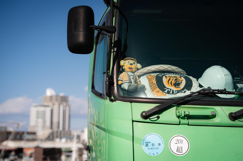 Eye of the Tiger
