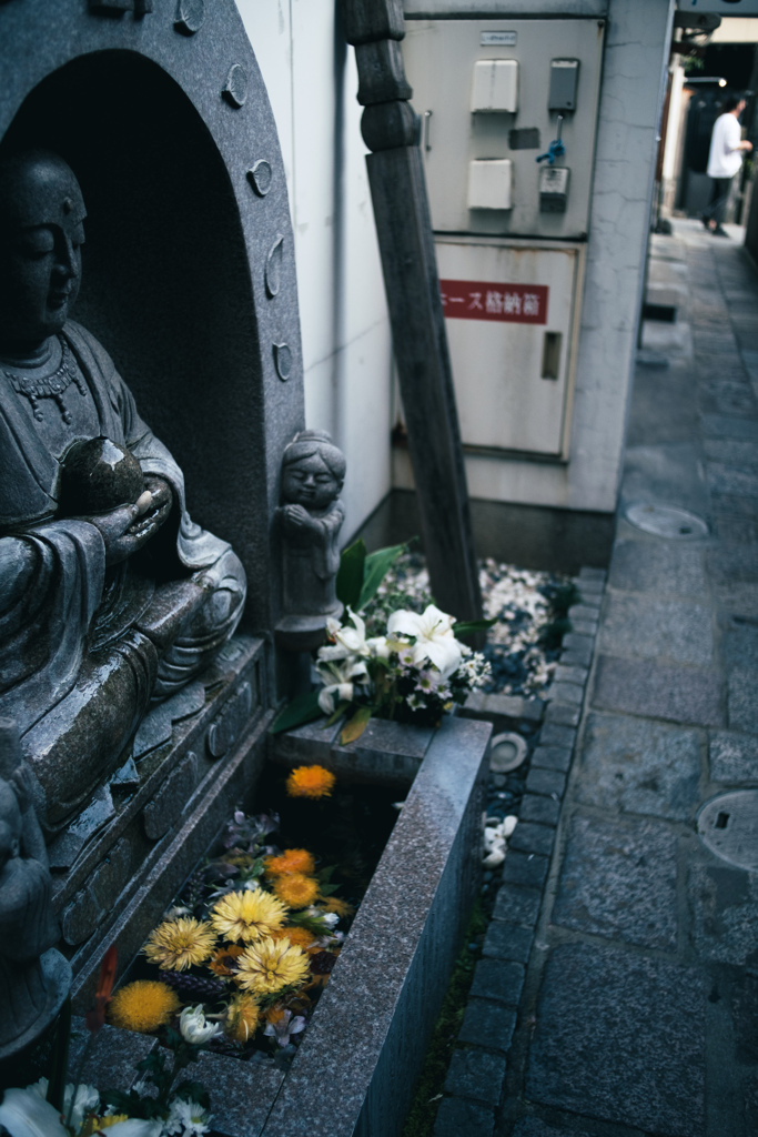 供花 #1