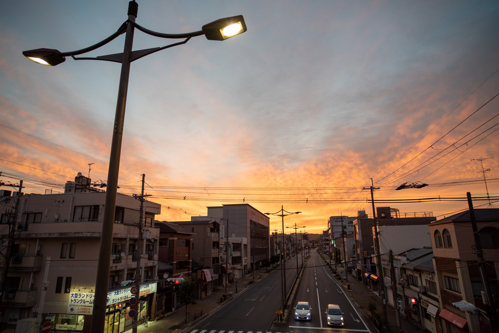 燃える朝