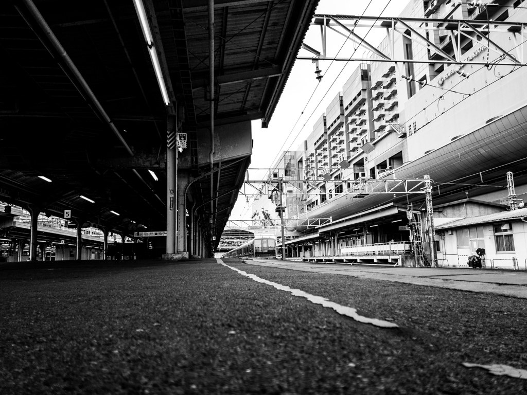 京都駅にて #3