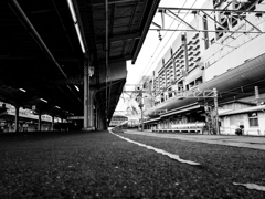 京都駅にて #3