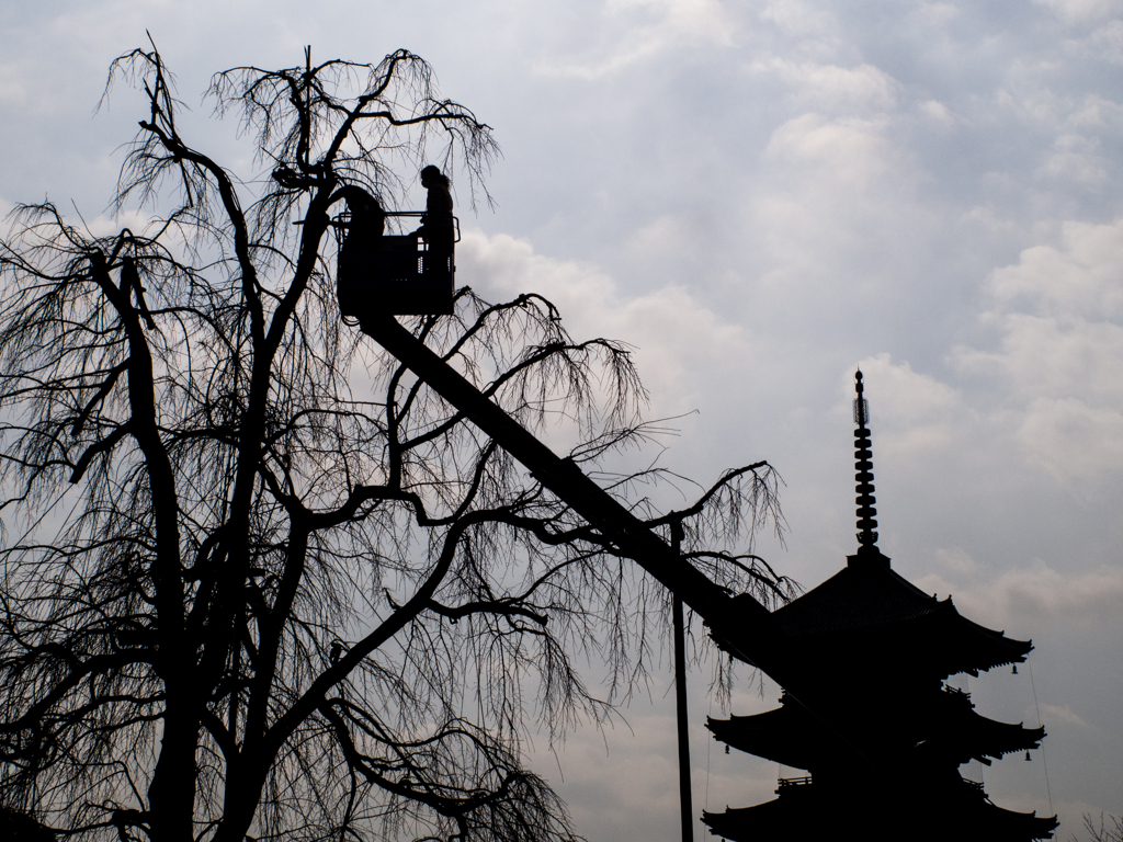 東寺にて