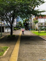 お昼