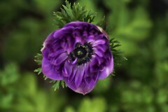 F0044