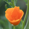 F0075