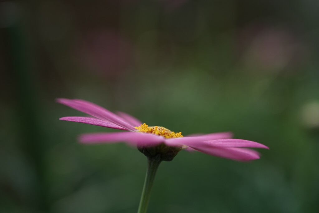 F0039