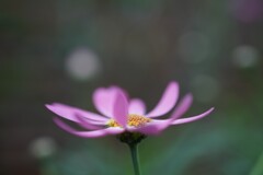F0027