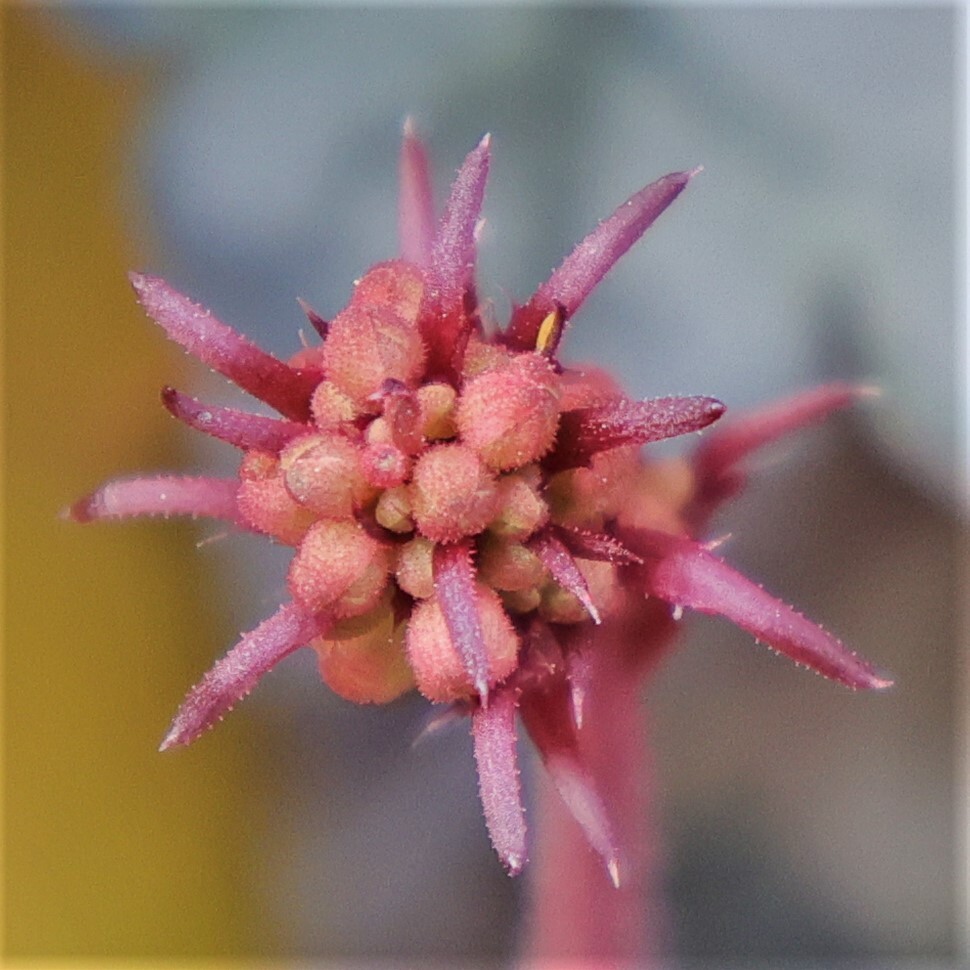 F0253