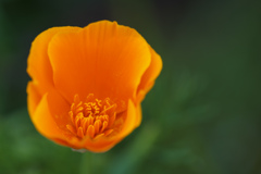F0076