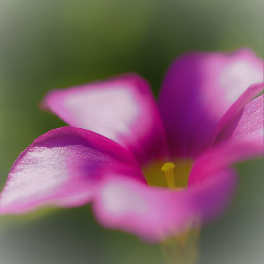 F0010