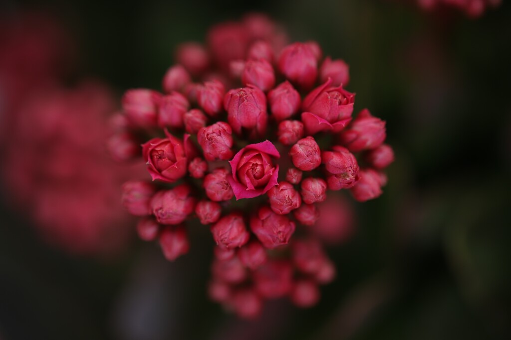 F0037