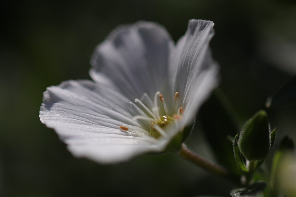 F0034