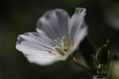 F0034