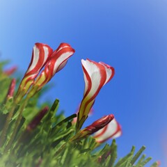 F0012