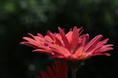 F0031
