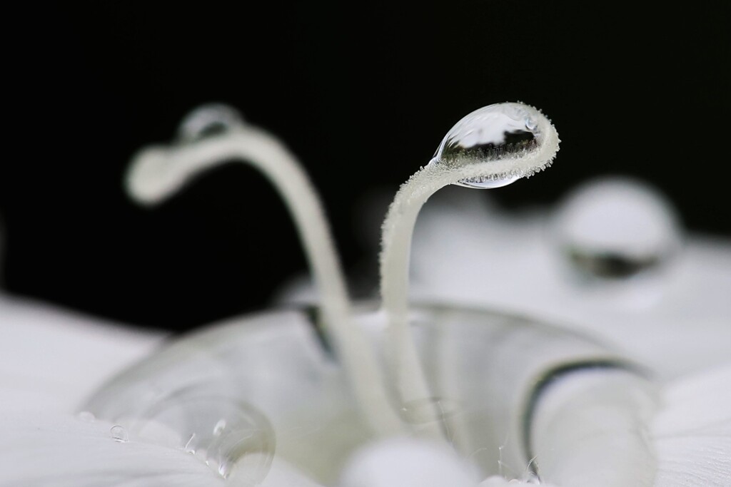 F0197