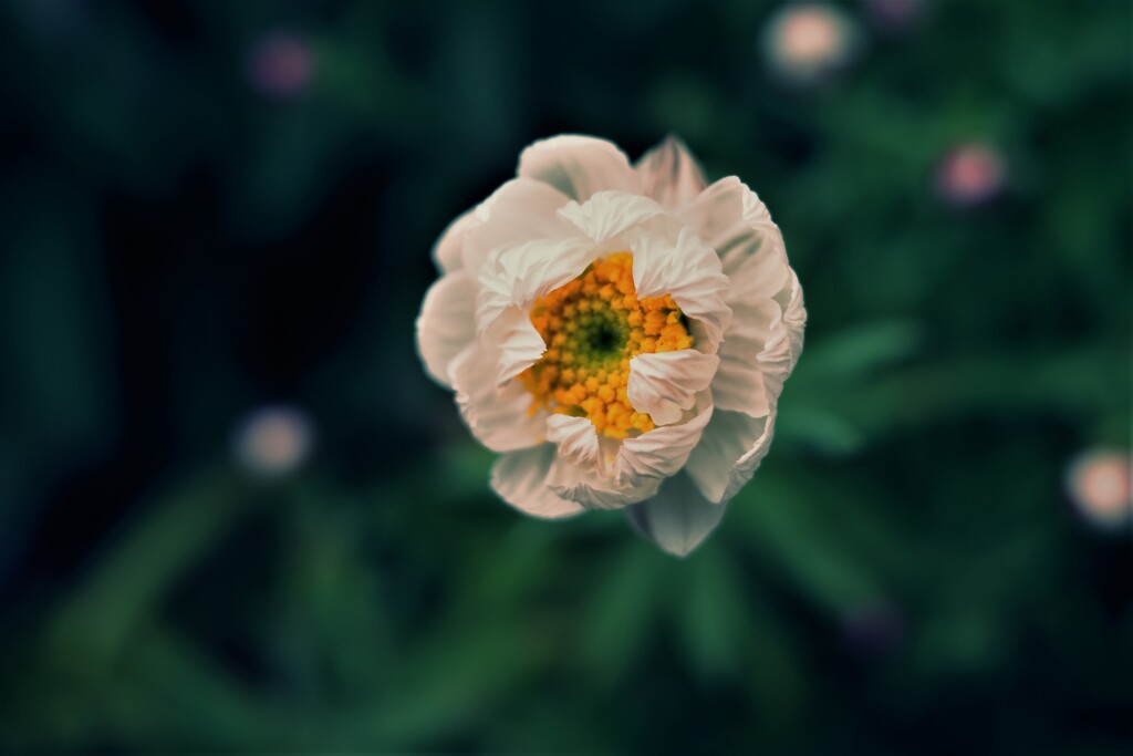 F0048