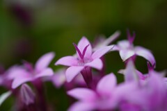 F0004