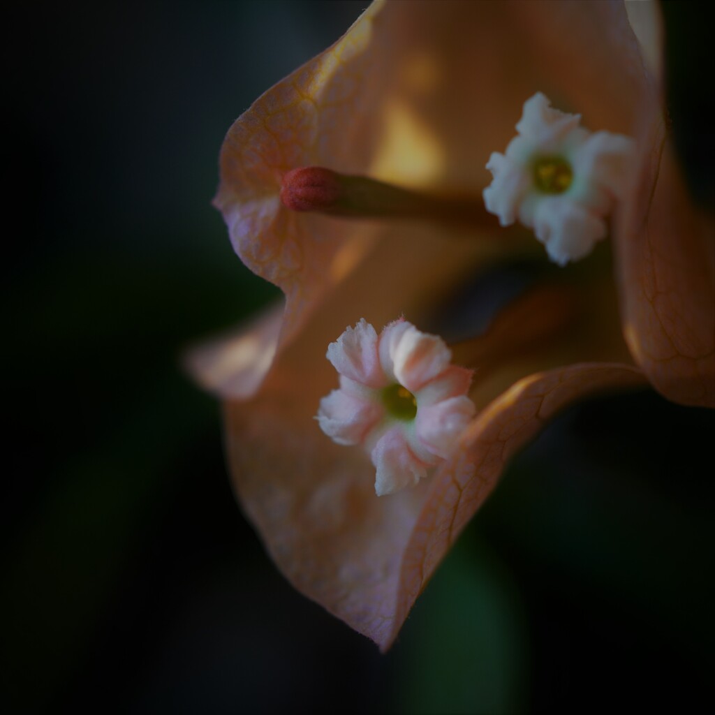F0011