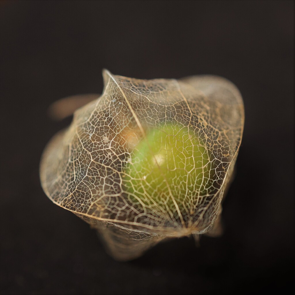 F0192