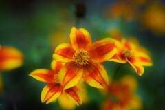 F0002