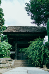 鎌倉散歩