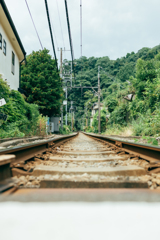 鎌倉散歩