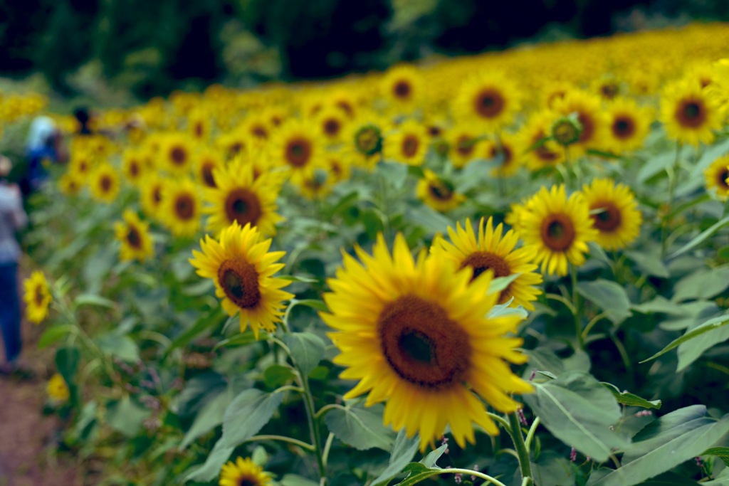 AB10D111-9F44-4058-AE1C-5A87A97257D9