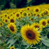 AB10D111-9F44-4058-AE1C-5A87A97257D9