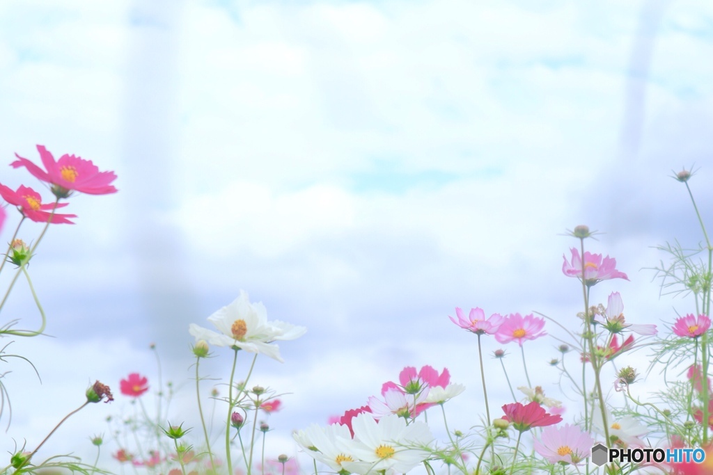 秋です