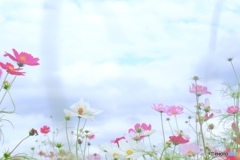 秋です