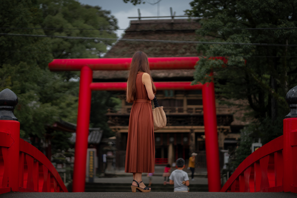 参ります。