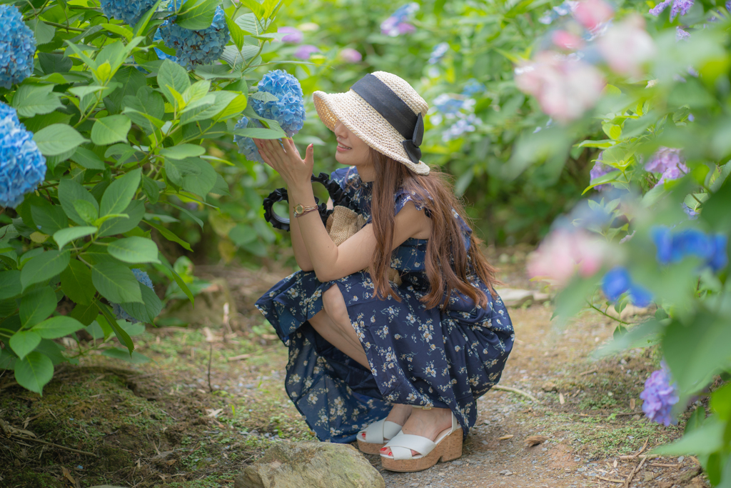 紫陽花との戯れ