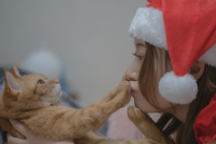 Have a merry Chiristmas. ～サンタと猫～