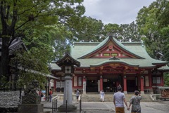 初夏の世田谷八幡宮