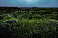 _DSF1346-2