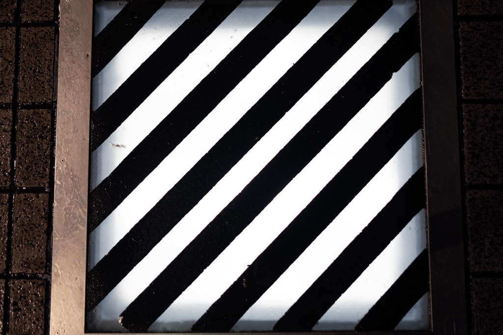 _DSF3893