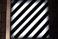 _DSF3893